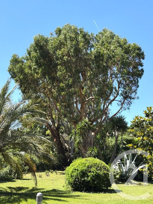 Appartement Studio à vendre - 1 pièce - 25 m2 - St Tropez - 83 - PROVENCE-ALPES-COTE-D-AZUR