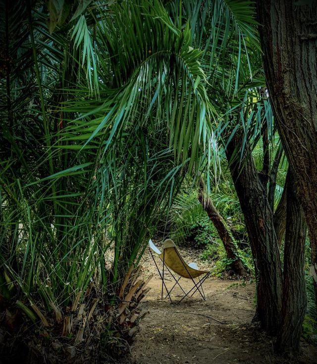 Maison à vendre - 6 pièces - 195 m2 - Gassin - 83 - PROVENCE-ALPES-COTE-D-AZUR