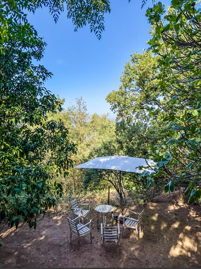 Maison à vendre - 6 pièces - 195 m2 - Gassin - 83 - PROVENCE-ALPES-COTE-D-AZUR